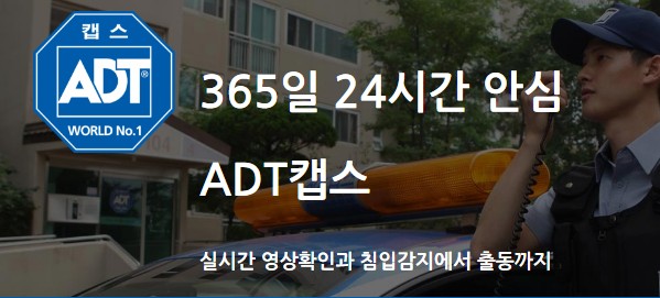 현관CCTV